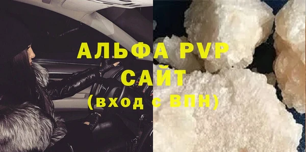 прущие грибы Горно-Алтайск