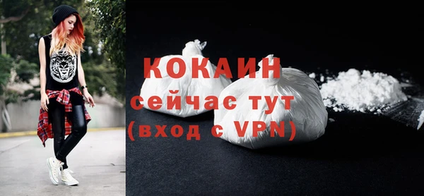 прущие грибы Горно-Алтайск