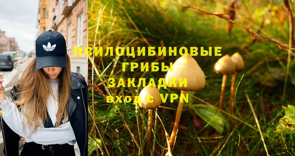 героин Горняк