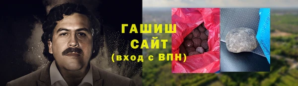 прущие грибы Горно-Алтайск