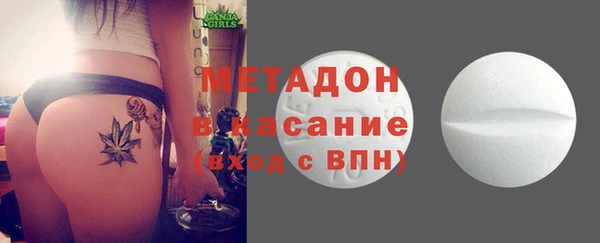 прущие грибы Горно-Алтайск