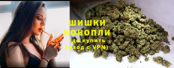 прущие грибы Горно-Алтайск