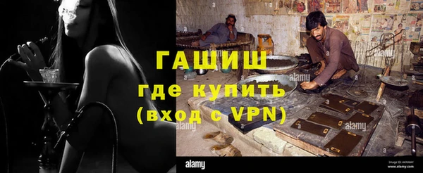 прущие грибы Горно-Алтайск