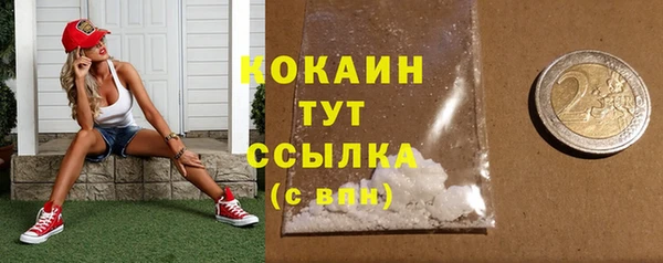 прущие грибы Горно-Алтайск