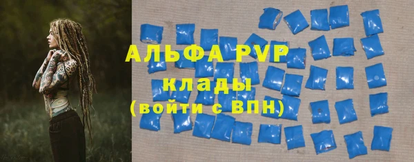 прущие грибы Горно-Алтайск
